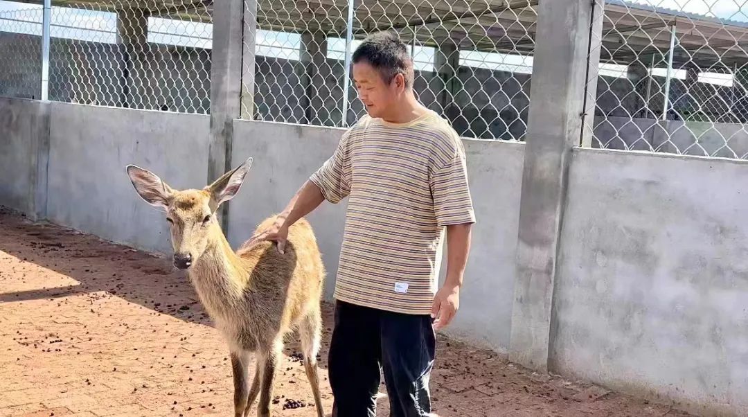 龙卷本子